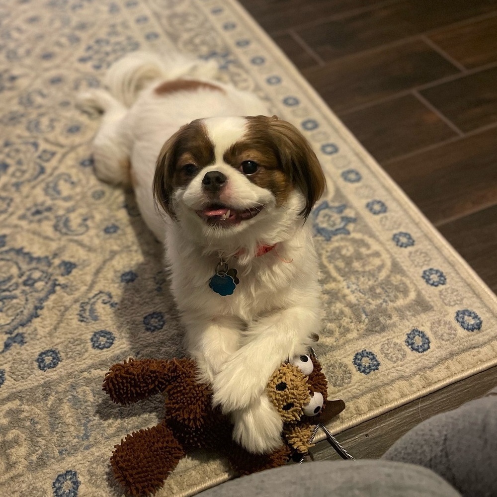 Welcome to my Closet Joey